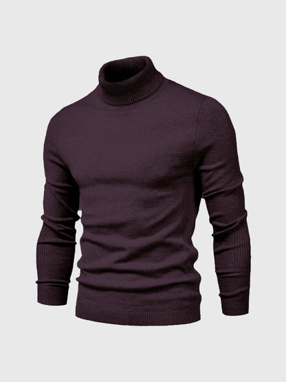 Rik | Washable Men's Turtleneck Sweater of High Quality