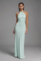Robe longue élégante en satin avec col licou et décolleté dans le dos pour femme