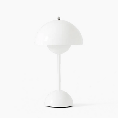 Lumière LED Auroraglo
