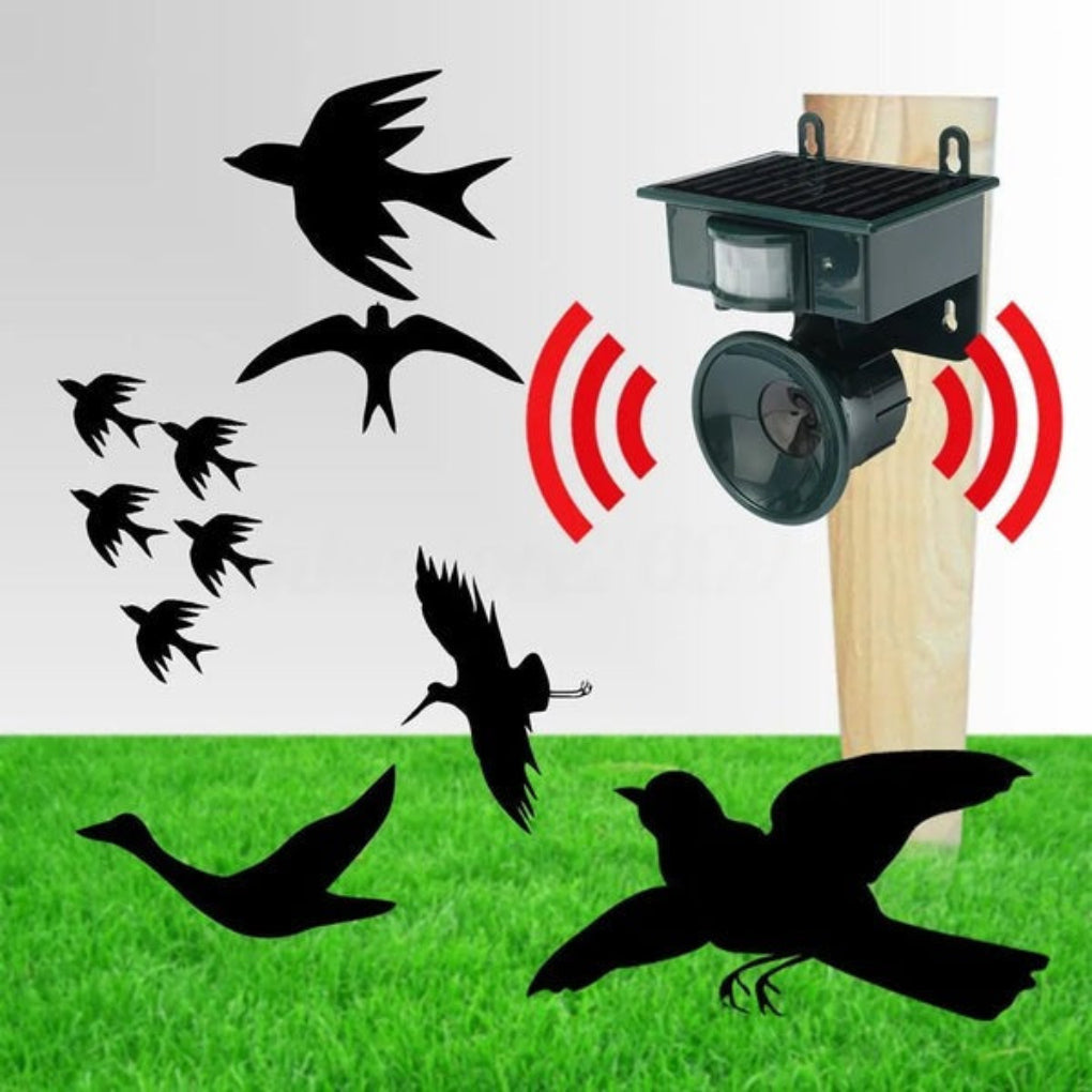Dispositif intelligent de dissuasion solaire contre les oiseaux avec détecteur de mouvement