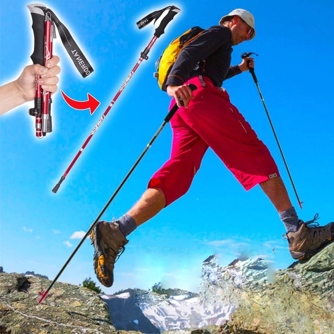 Bâtons de randonnée pliables et réglables pour trekking et randonnée