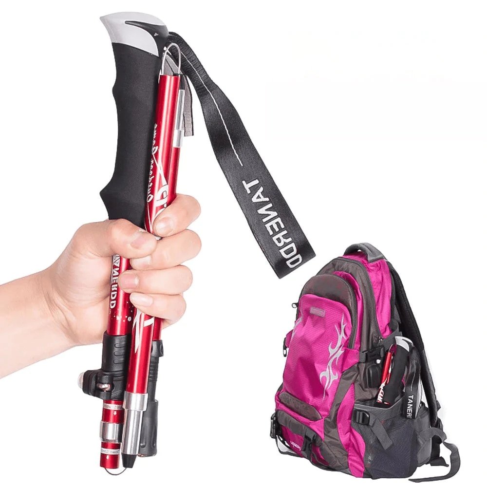 Bâtons de randonnée pliables et réglables pour trekking et randonnée